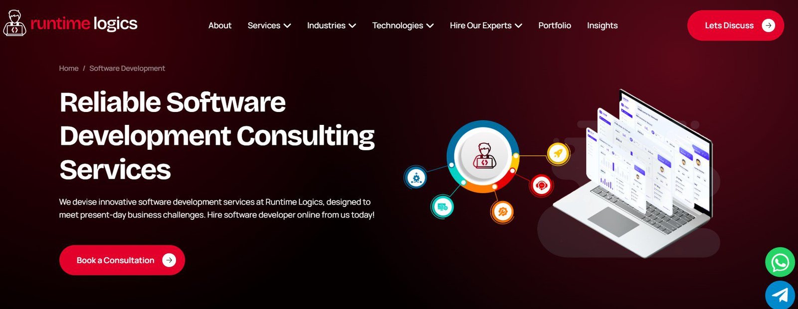 runtime logics (software development)