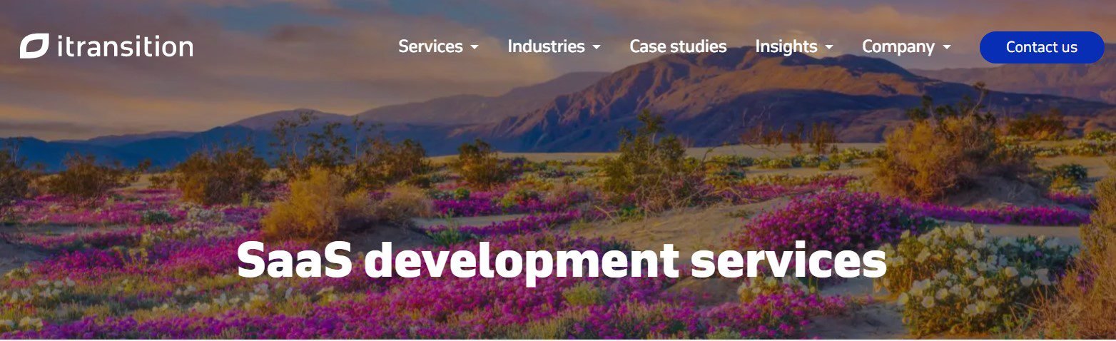 Itransition (saas blog)
